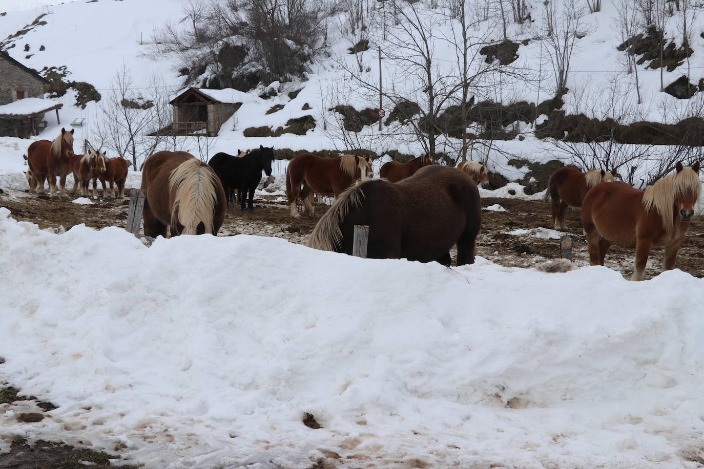 El municipio babiano mantiene varias carreteras en muy mal estado tras la gran nevada que afrontó a finales de 2020.