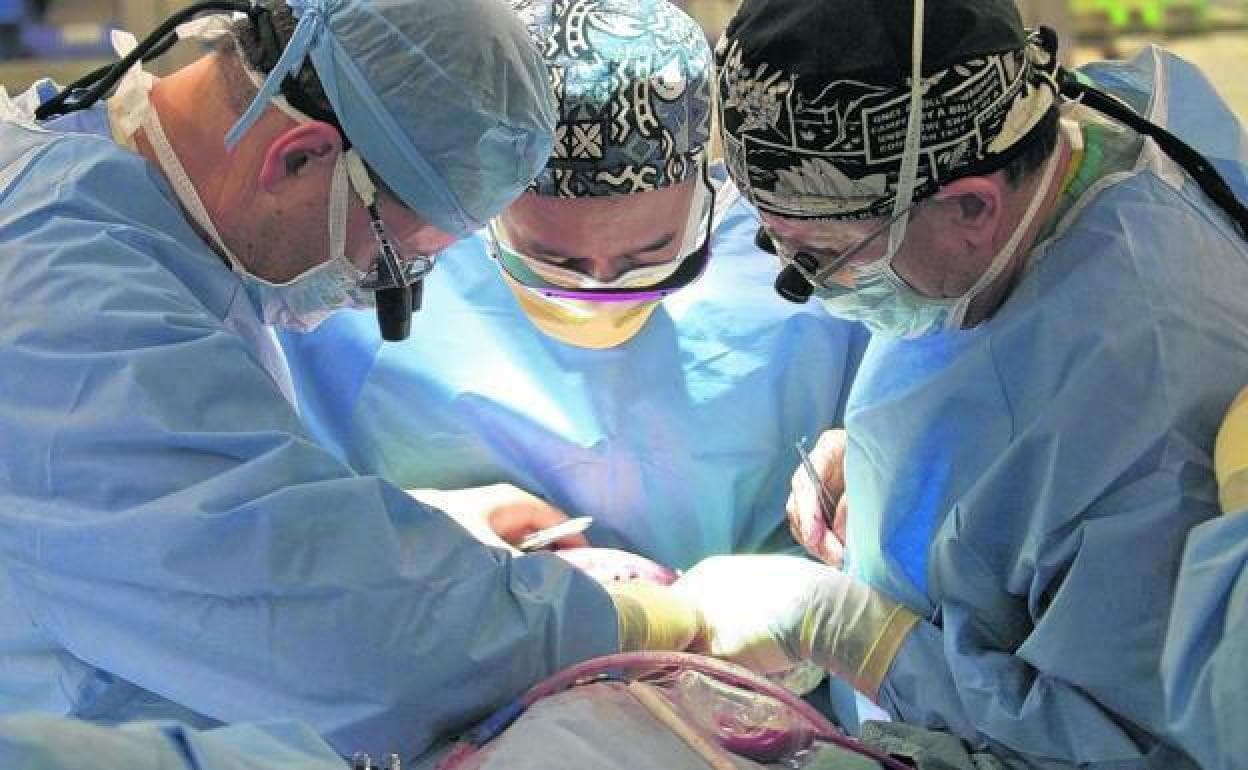 Intevención quirúrgica en un trasplante. 