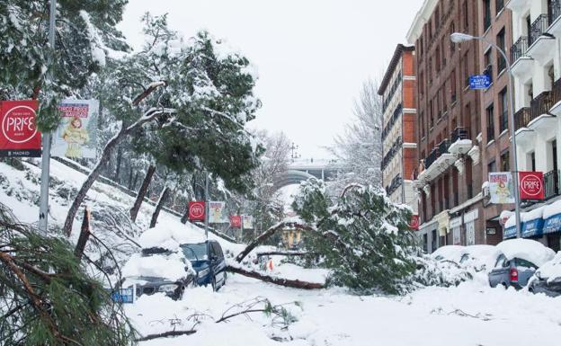 Imagen de una calle de Madrid. 