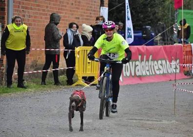 Imagen secundaria 1 - El mushing también cuenta con modalidades de tierra. 