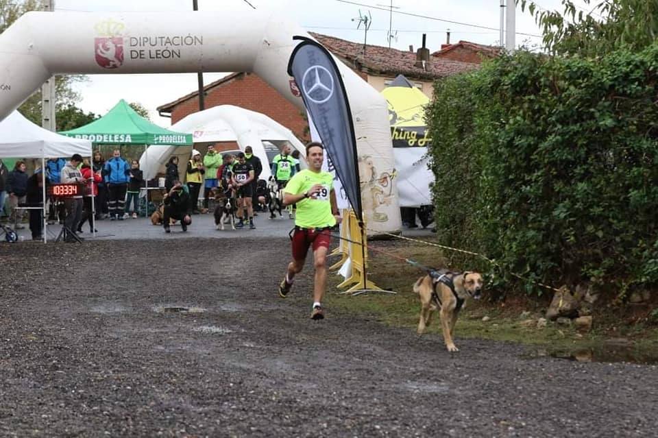 Velocidad, destreza, fuerza y pasión por la nieve unen al perro y al hombre. 