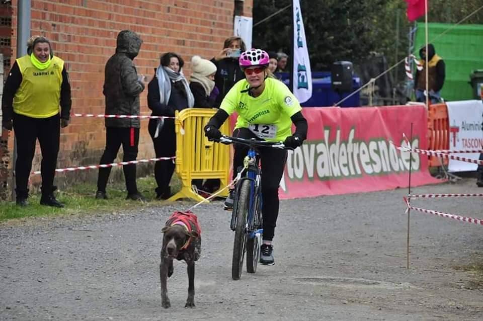 Velocidad, destreza, fuerza y pasión por la nieve unen al perro y al hombre. 