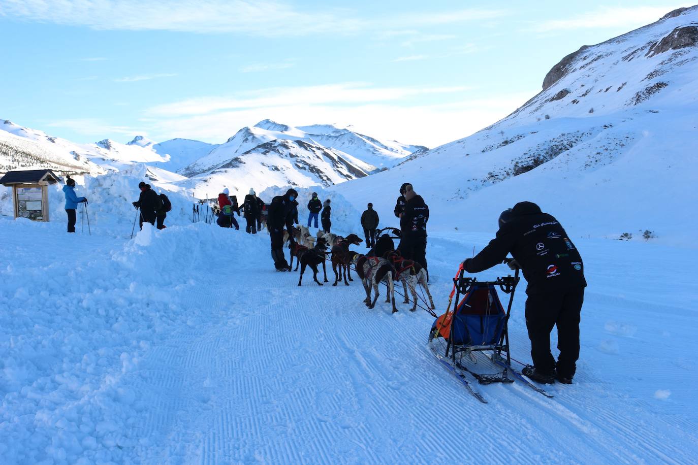 Velocidad, destreza, fuerza y pasión por la nieve unen al perro y al hombre. 