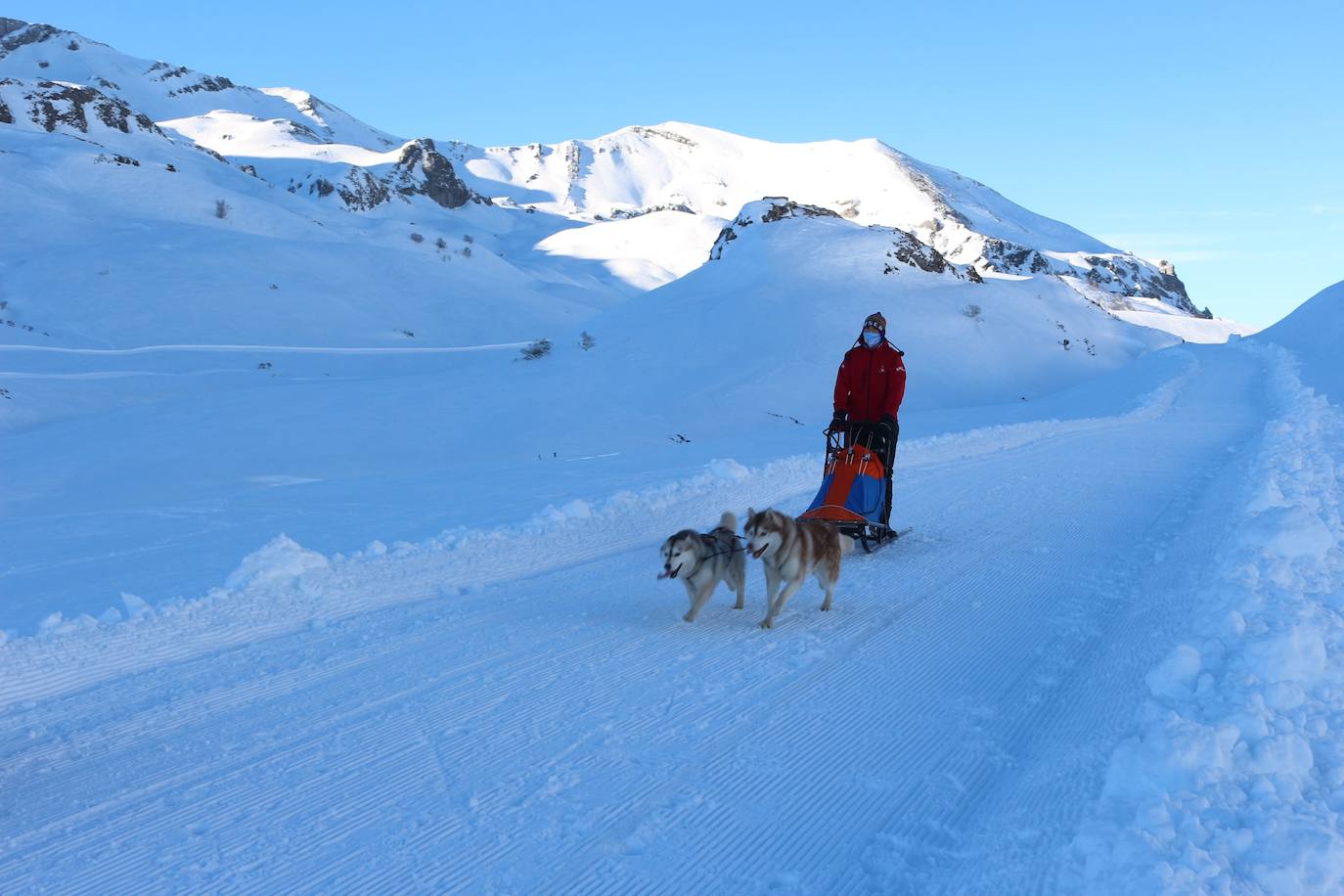 Velocidad, destreza, fuerza y pasión por la nieve unen al perro y al hombre. 