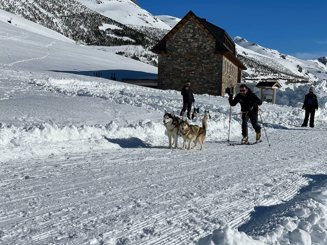 Velocidad, destreza, fuerza y pasión por la nieve unen al perro y al hombre. 