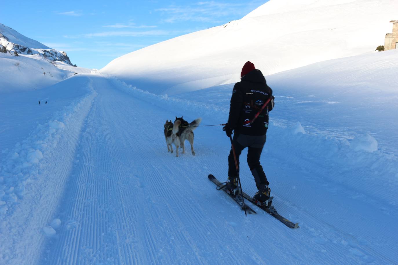 Velocidad, destreza, fuerza y pasión por la nieve unen al perro y al hombre. 