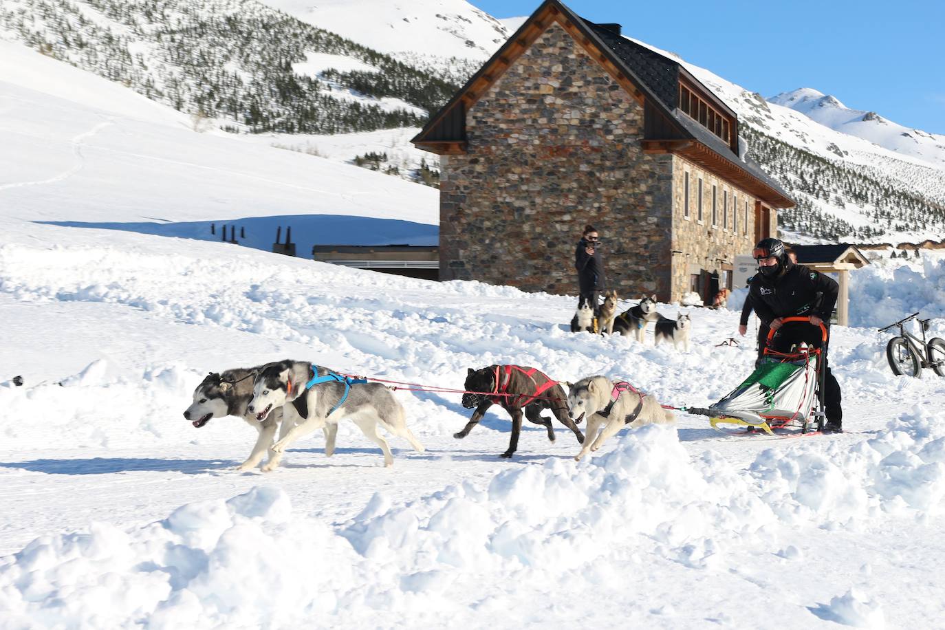 Velocidad, destreza, fuerza y pasión por la nieve unen al perro y al hombre. 