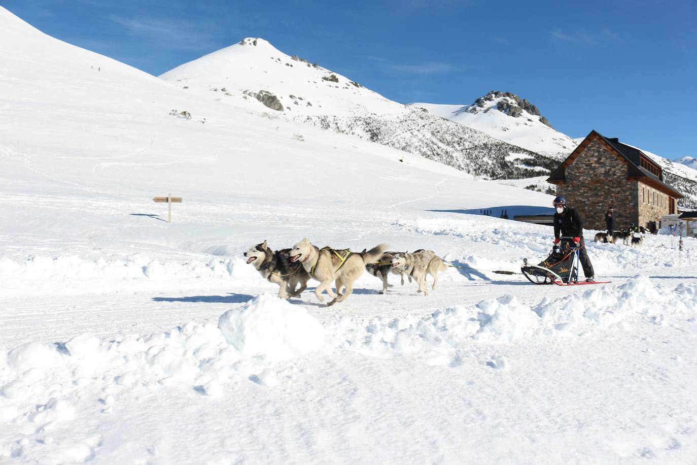 Velocidad, destreza, fuerza y pasión por la nieve unen al perro y al hombre. 