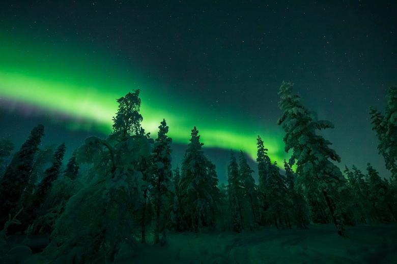 La Aurora Boreal se ve en el cielo sobre Muonio en Laponia, Finlandia, enero de 2021