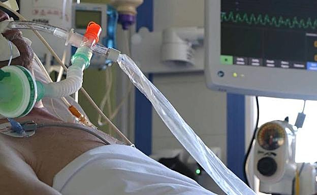 Imagen de un paciente en estado crítico a causa del coronavirus.