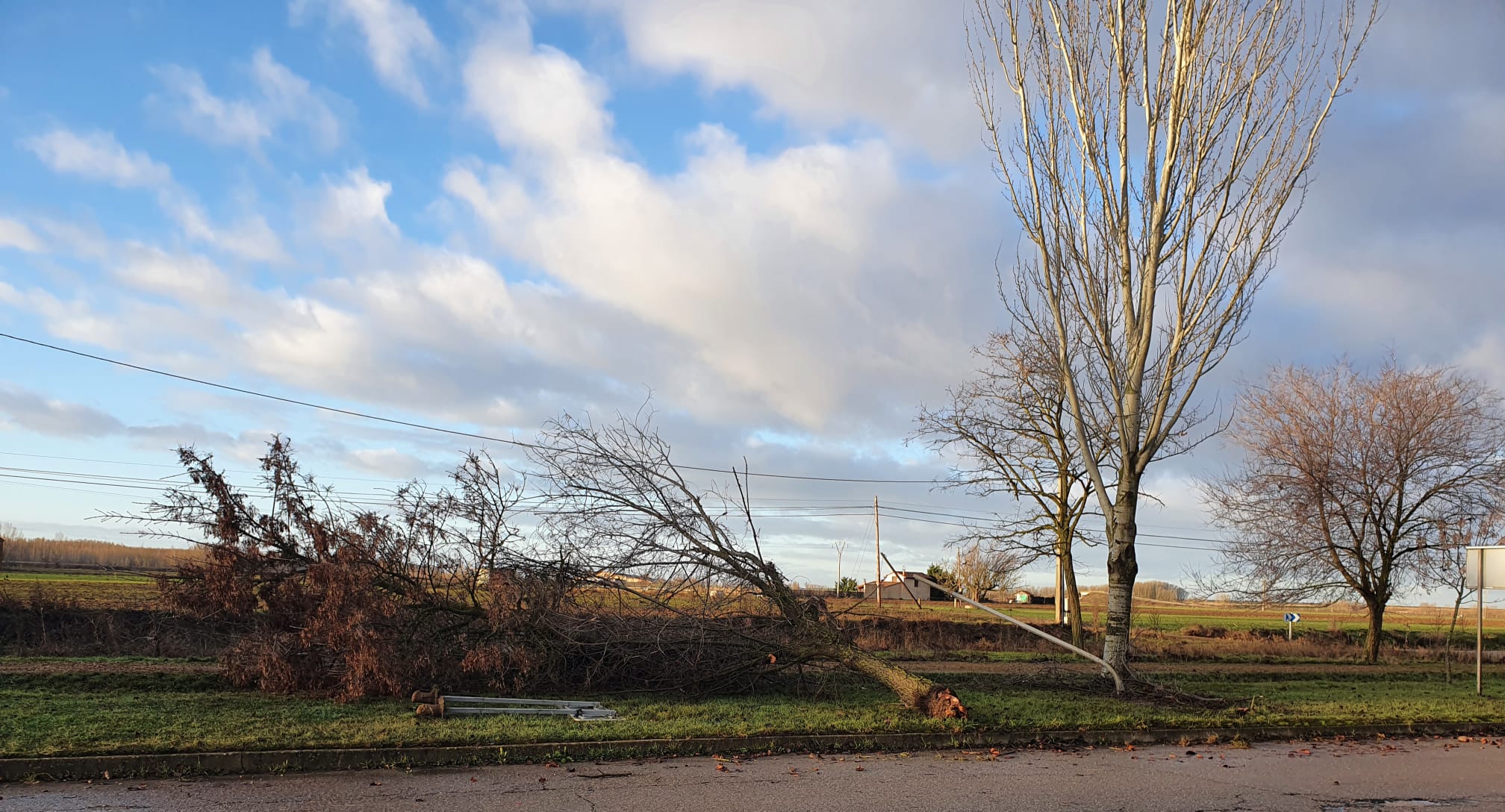 Fotos: El viento causa destrozos en Sahagún