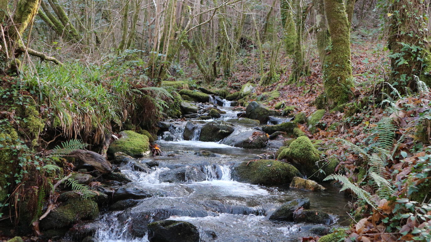 1.- Fragas do Eume (Galicia) | Fragas do Eume es, sin duda, uno de los bosques más mágicos de España. Cuenta la leyenda que con el Eume nacieron dos ríos más en la misma sierra, el Sor y el Landro. Dios prometió que al primero que llegase al mar le daría a un hombre todos los años como ofrenda. Los tres pactaron que recorrerían juntos el camino y llegarían al mismo tiempo. En un lugar, cansados de su viaje, decidieron descansar. Uno de ellos despertó primero y traicionándolos emprendió el viaje hacia el Océano. El otro, al abrir sus ojos y comprobar que faltaba uno, abandonó el lugar también dejando sólo al Eume que, al despertar, enfurecido y embravecido, emprendió el viaje saltando todo lo que se le interpuso en el camino, formando valles y saltos hasta llegar antes que los dos traidores. Así, estos, quedaron relegados a simples afluentes. Hasta la construcción de los embalses, el Eume, todos los años se llevaba la vida de algún hombre debido a la bravura de sus aguas.