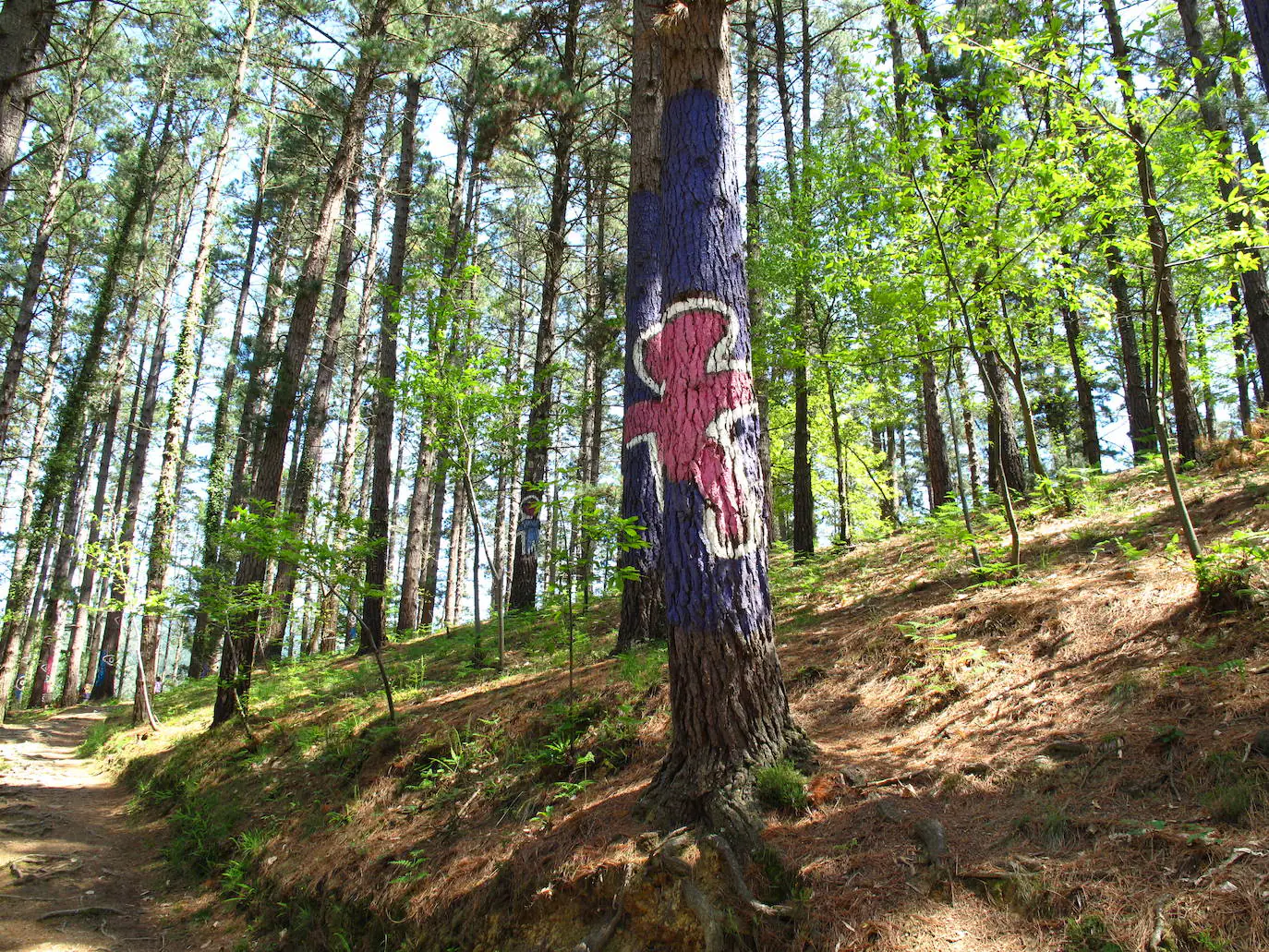 5.- Bosque de Oma (Vizcaya) | Ubicado en la Reserva Natural de Urdaibai, este bosque destaca por tener los troncos de los árboles pintados por el escultor y pintor Agustin Ibarrola. Las leyendas en torno a la magia se apoderan de este rincón haciendo de él un sitio único donde conjugar arte y naturaleza en una misma experiencia.