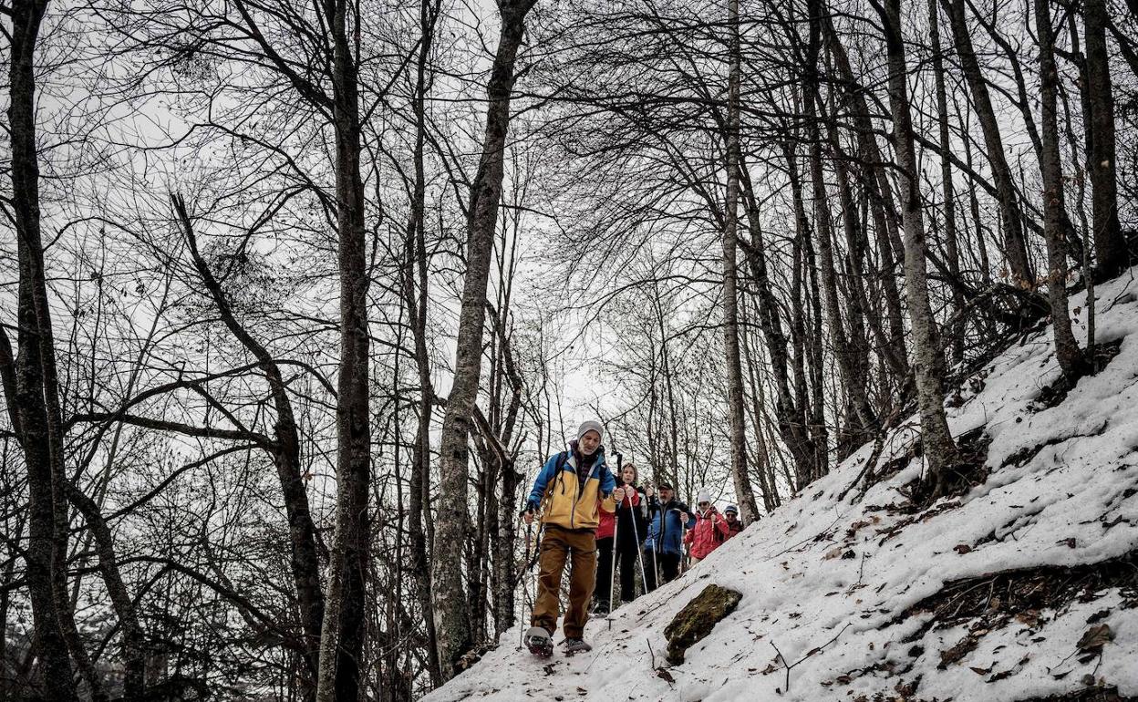 Un grupo de excursionistas, en los Alpes franceses.