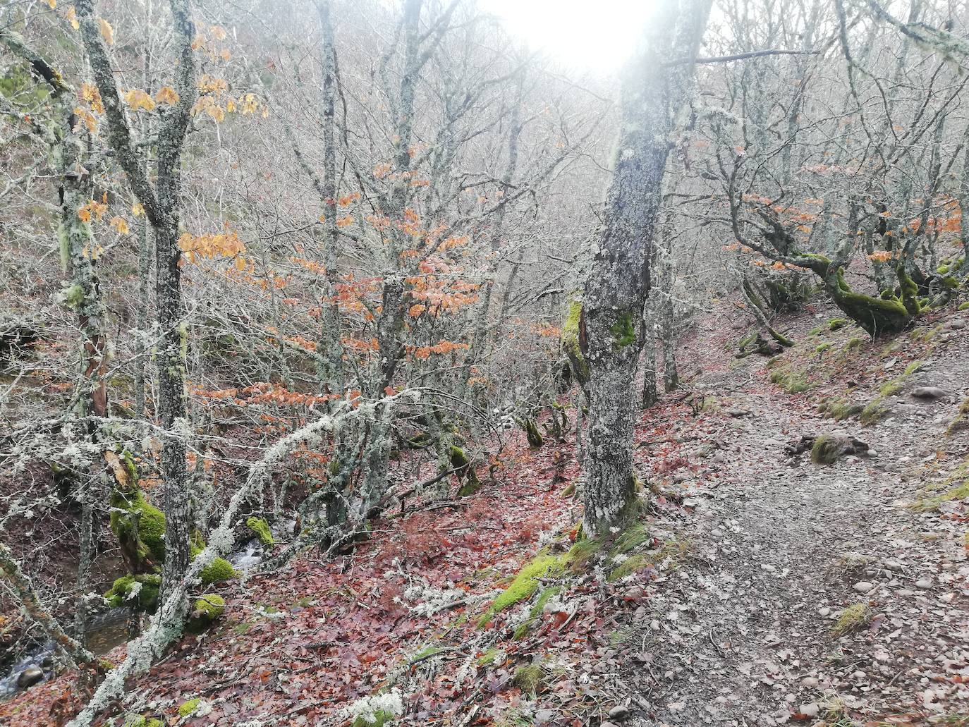 Fotos: Ruta de la Mitología Leonesa