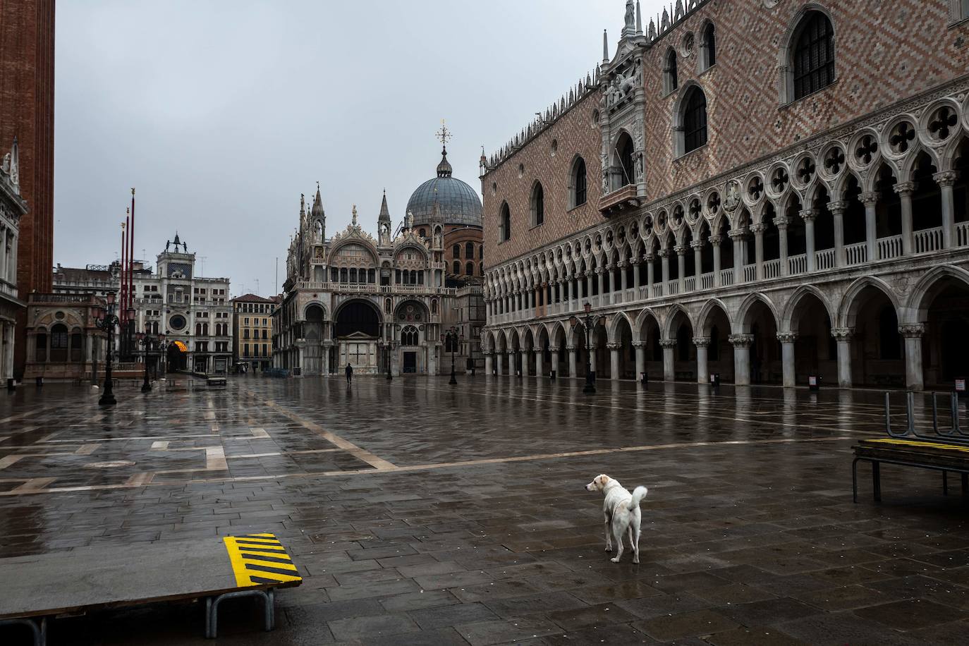 Venecia se ha quedado sin turistas. La pandemia ha castigado con fuerza esta ciudad mágica. Su famoso carnaval se ha celebrado este año en versión Covid, sin visitantes y en gran parte telemático. Antes de la pandemia, el carnaval generaba unos 70 millones de euros, que gastaban unos 567.000 turistas. «Es totalmente surrealista. Lo que más me sorprende es el silencio. Durante el carnaval siempre se oye música, la gente que se divierte. Pero Venecia entre brumas sigue siendo un lugar mágico», dice Chiara Ragazzon, de 47 años. 