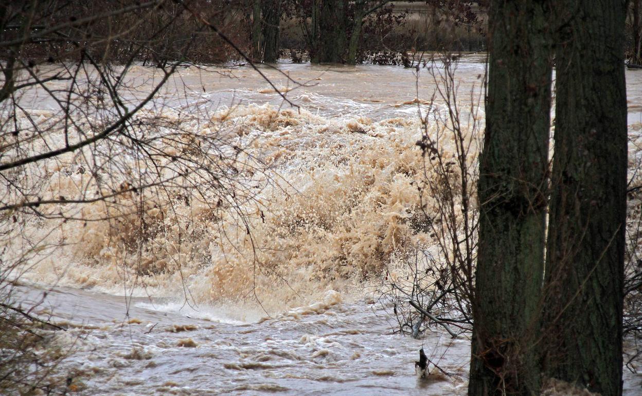 El río Bernesga, a su paso por León, en una imagen de archivo.