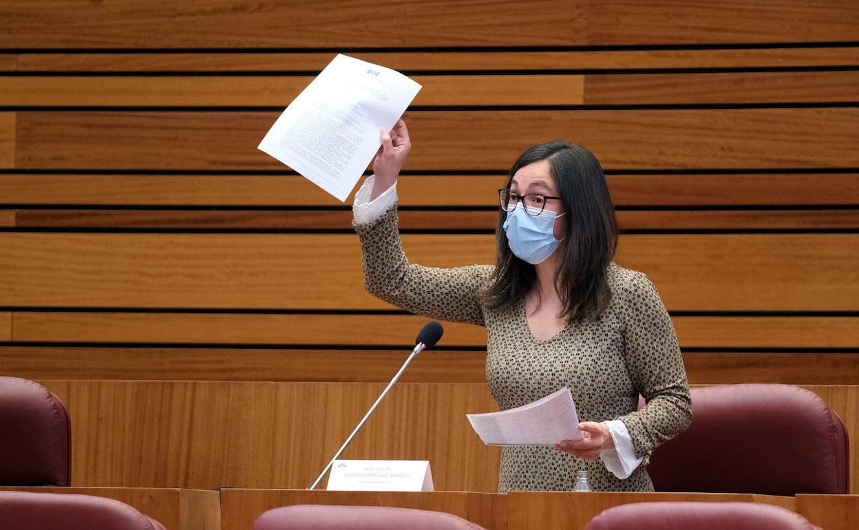 El Pleno intercambió reproches entre los diferentes grupos. 