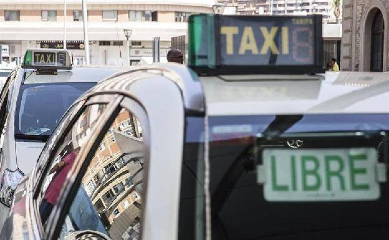 El servicio se ha contratado con Taxis Legio en León. 