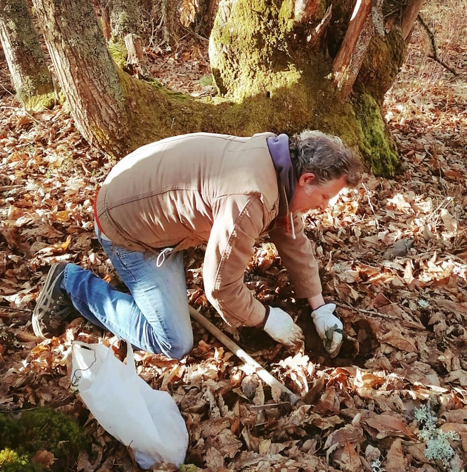 Fotos: Plantación en Villar de los Mundos