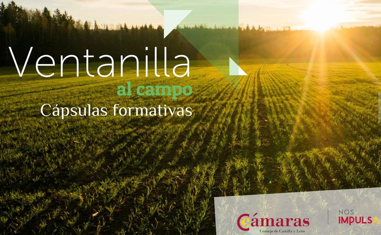 Imagen de la campaña del Consejo de Cámaras.