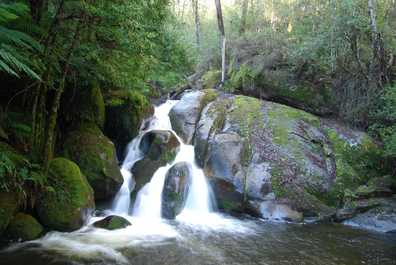 26- Parque Nacional Yarra Ranges (Australia)