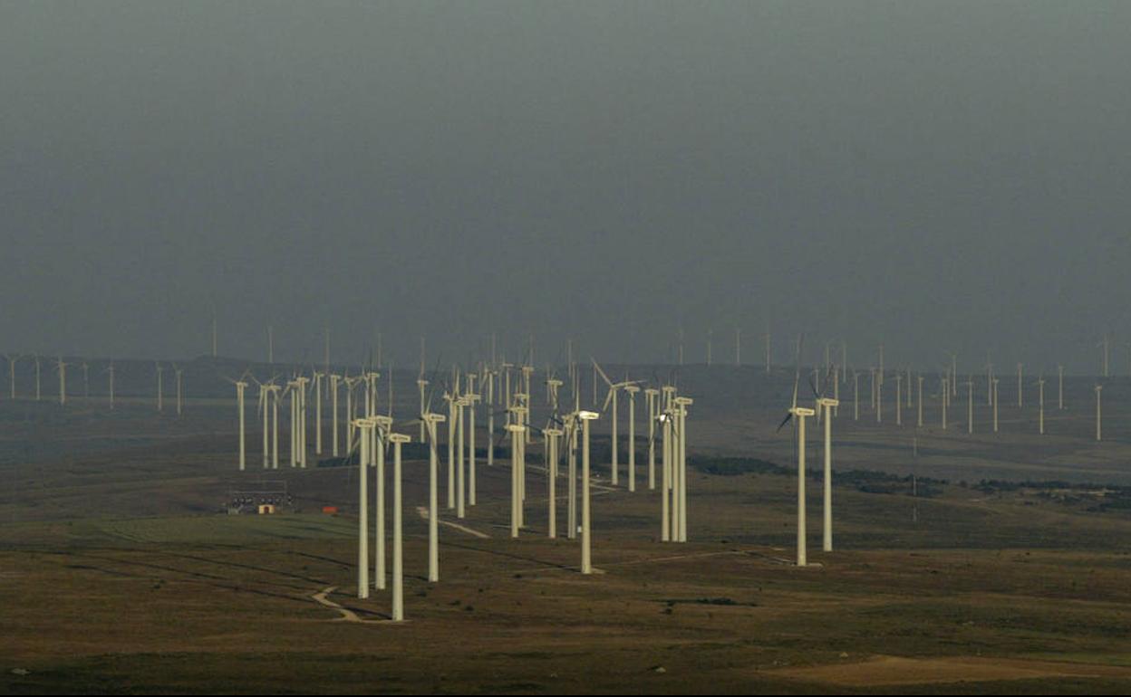 Imagen de un parque eólico.