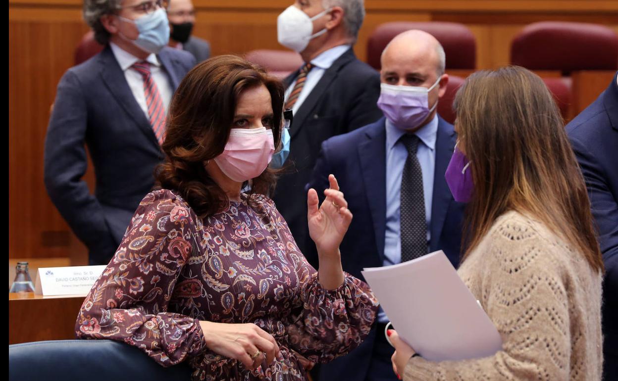 Ana Carlota Amigo durante su intervención en el pleno de las Cortes de Castilla y León.