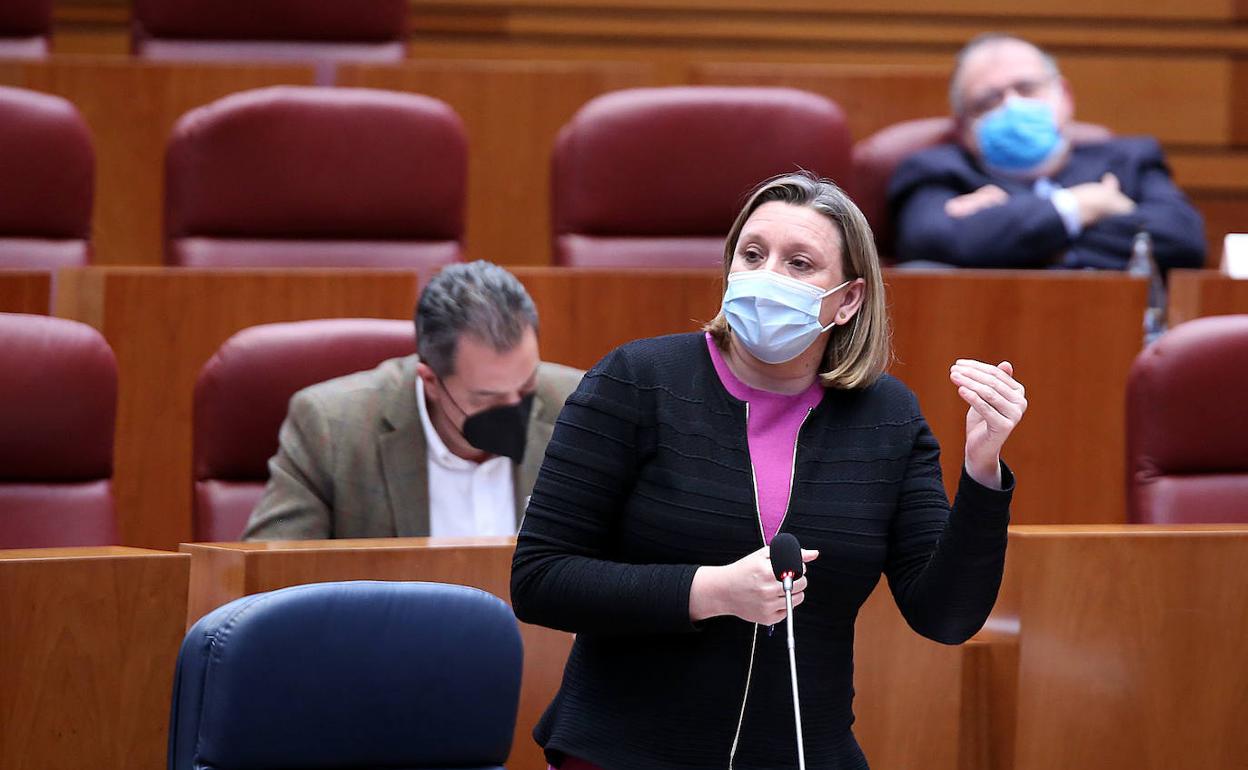 La consejera de Familia, Isabel Blanco, durante el pleno.