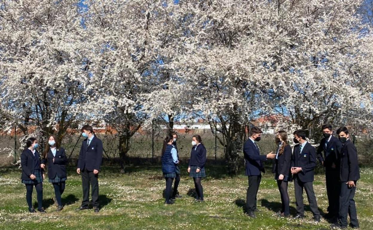 «Día de la primavera» en Peñacorada