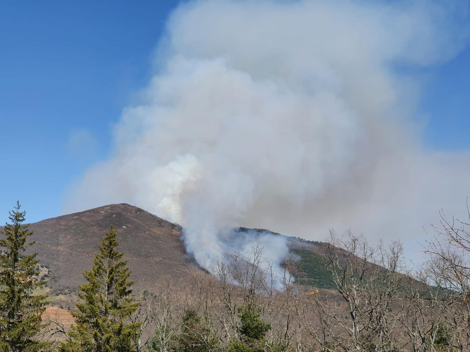 Las llamas, que asolan la ladera del pinar del Pico Muela, han obligado a actuar a medios terrestres y dos helicópteros.