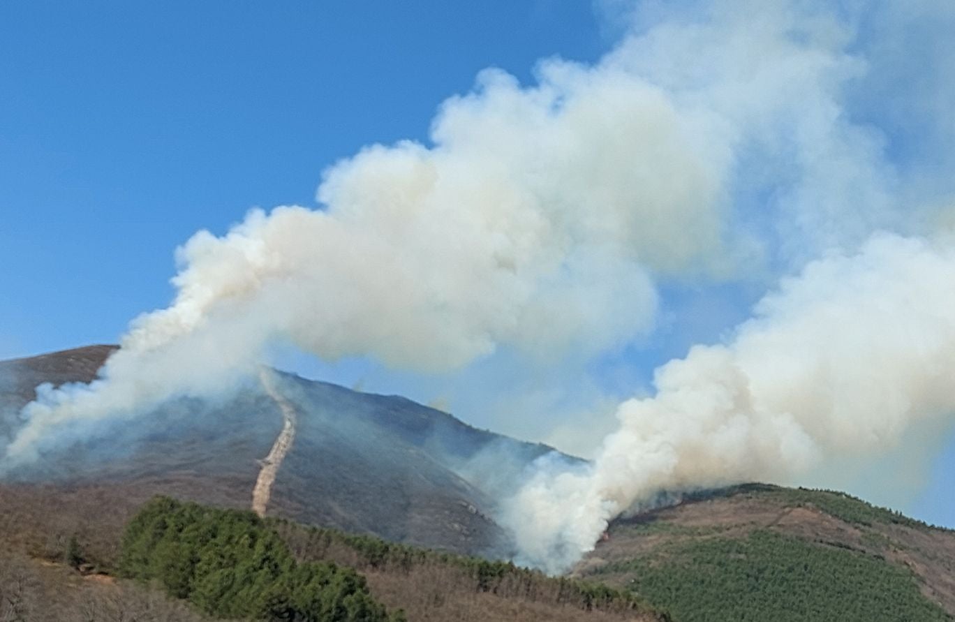 Las llamas, que asolan la ladera del pinar del Pico Muela, han obligado a actuar a medios terrestres y dos helicópteros.