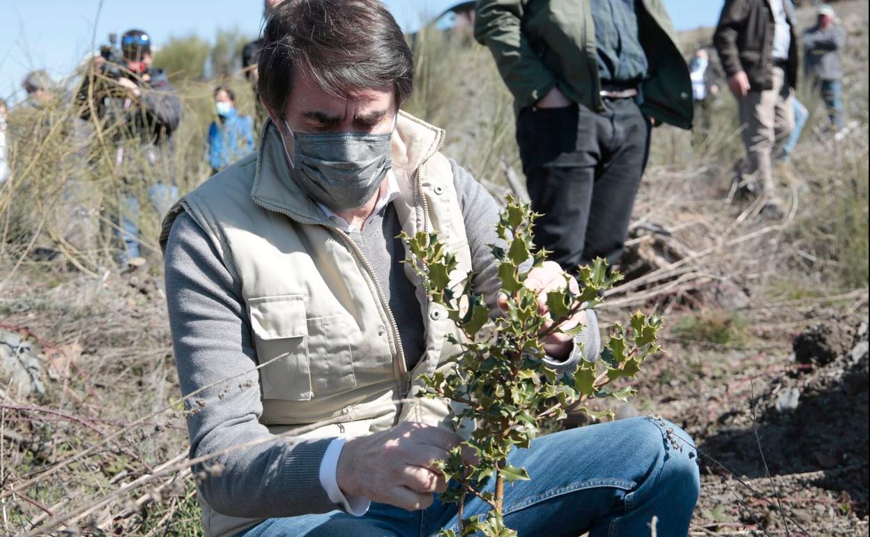 El consejero de Fomento y Medio Ambiente visita las actuaciones de restauración forestal en los montes leoneses afectado por el incendio en 2015.