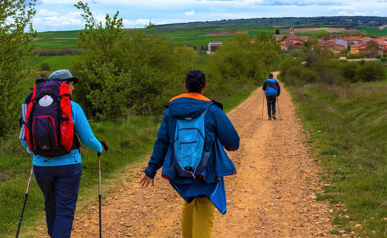 La Asociación de Municipios del Camino y la Fundación Santa María la Real se alían para desarrollar proyectos estratégicos en torno al Camino