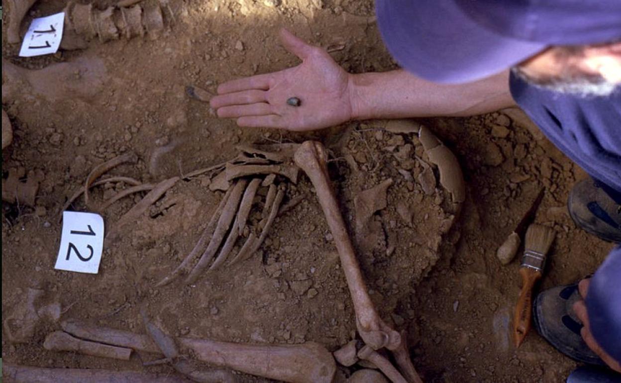 Exhumación de 'Los trece de Priaranza' en León.