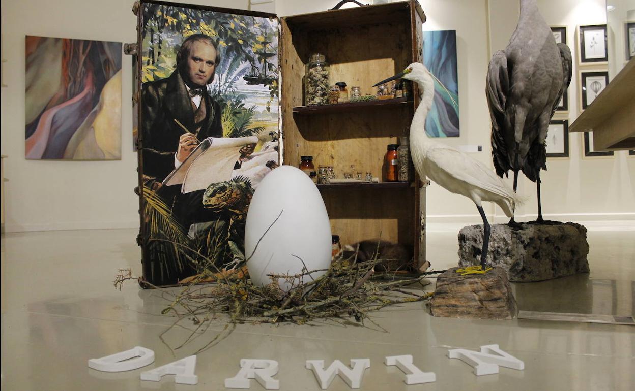 Exposición temporal 'Origen. La duda de Darwin' en el museo Munic de Carracedelo.