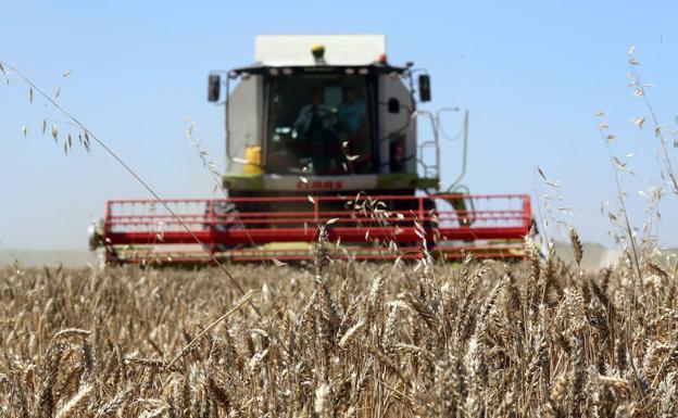 Castilla y León acoge las regiones agronómicas de secano y regadío con valores medios PAC más bajos de España