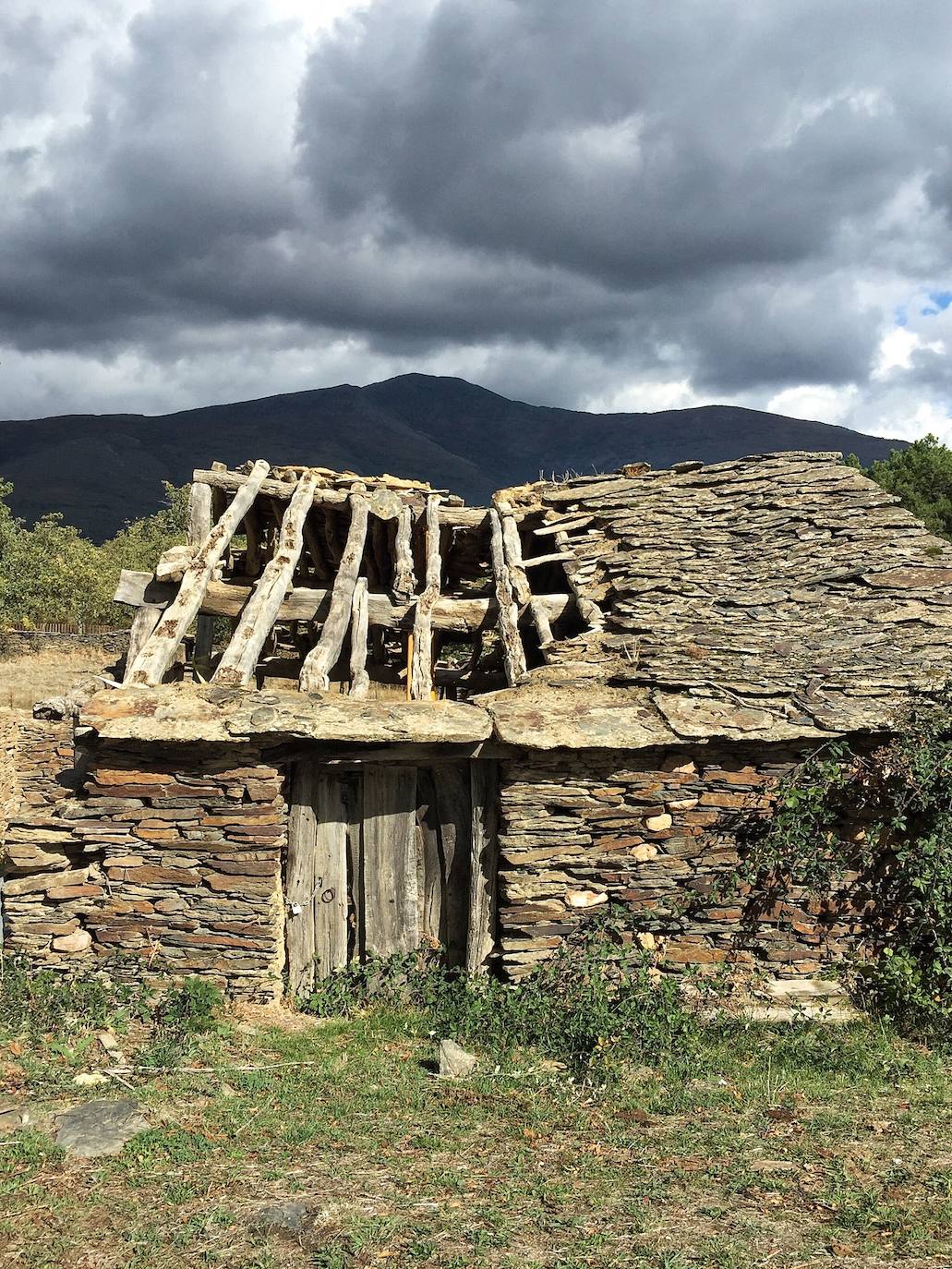 Campillo de Ranas (Guadalajara, Castilla-La Mancha) 