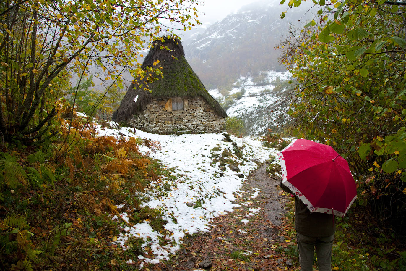 Valle de Saliencia (Asturias)