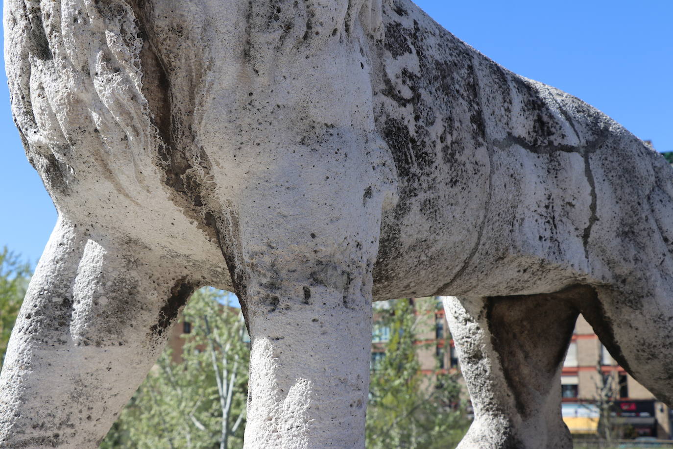 Los cuatro felinos del Puente de los Leones presentan un mal estado desde hace tiempo.