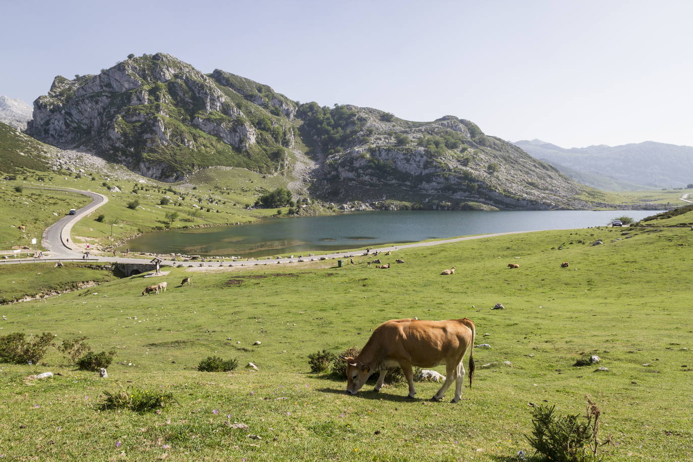 Ruta circular por los Lagos de Covadonga (Asturias)