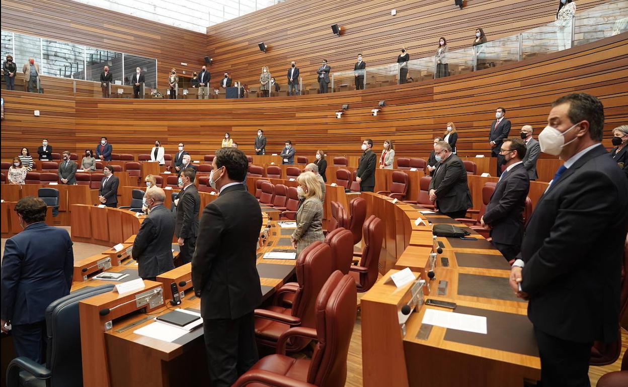 Pleno de las Cortes de Castilla y León donde se ha tratado este asunto.