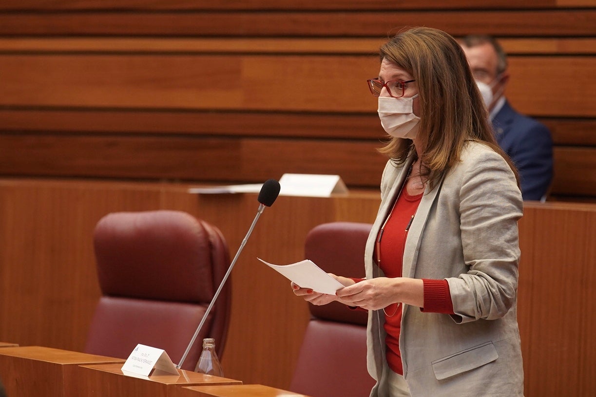 Pleno de las Cortes de Castilla y León.