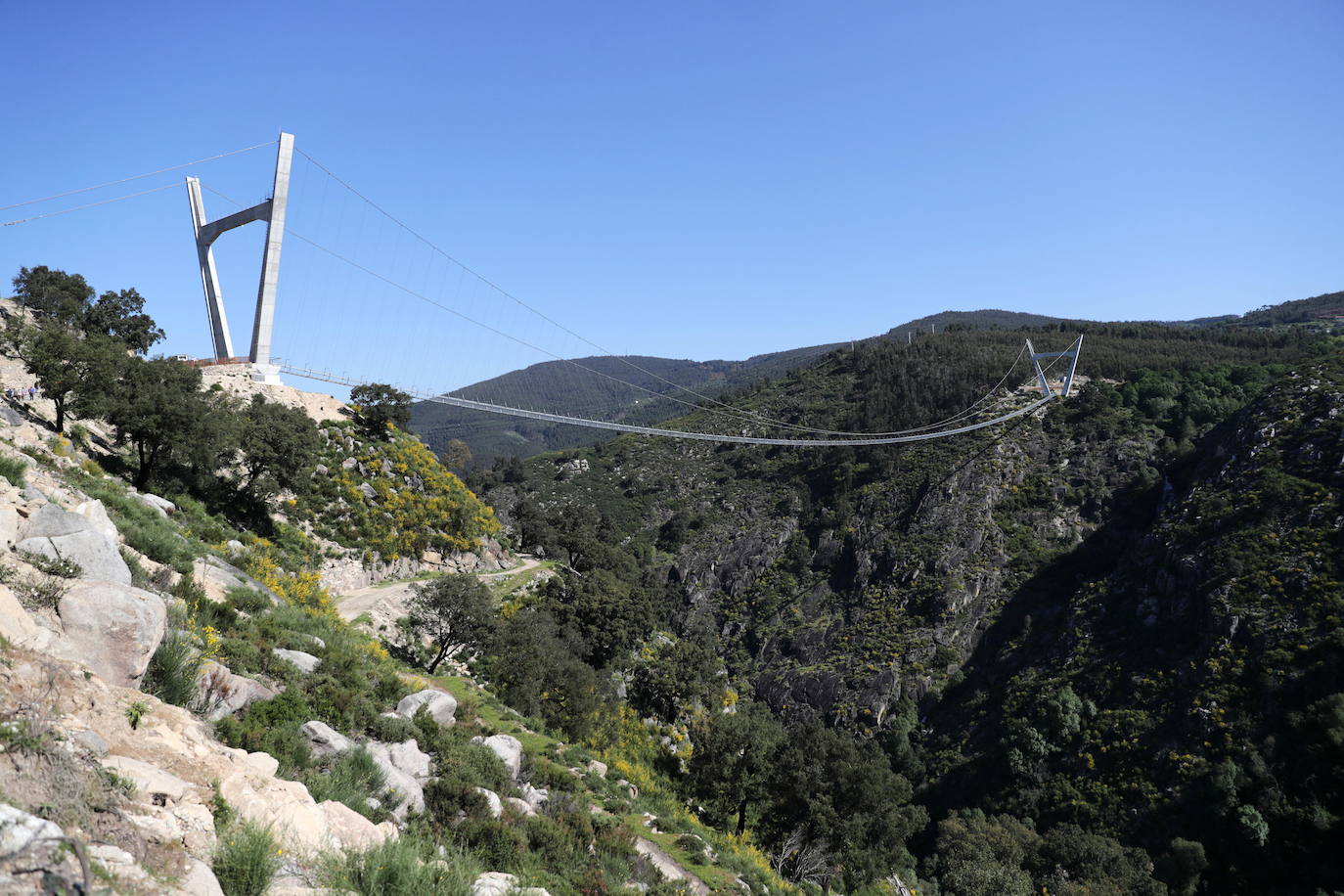 Portugal inauguró este jueves 29 de abril el puente peatonal suspendido más largo del mundo, a 175 metros sobre el río Paiva, en el norte, y que con sus 516 metros supera el récord establecido en 2017 por la pasarela Charles Kuonen de los Alpes suizos. El puente atraviesa un barranco granítico del municipio de Arouca y está formado por 127 planchas de rejilla con barandillas metálicas de 1,20 metros de ancho, sujetas por cables de acero a unos pilares en forma de 'V' situados a cada extremo.