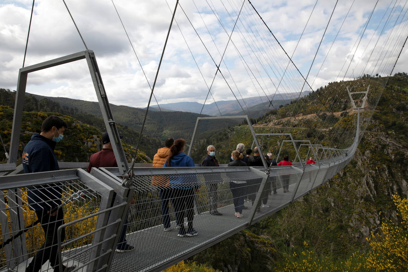 Portugal inauguró este jueves 29 de abril el puente peatonal suspendido más largo del mundo, a 175 metros sobre el río Paiva, en el norte, y que con sus 516 metros supera el récord establecido en 2017 por la pasarela Charles Kuonen de los Alpes suizos. El puente atraviesa un barranco granítico del municipio de Arouca y está formado por 127 planchas de rejilla con barandillas metálicas de 1,20 metros de ancho, sujetas por cables de acero a unos pilares en forma de 'V' situados a cada extremo.