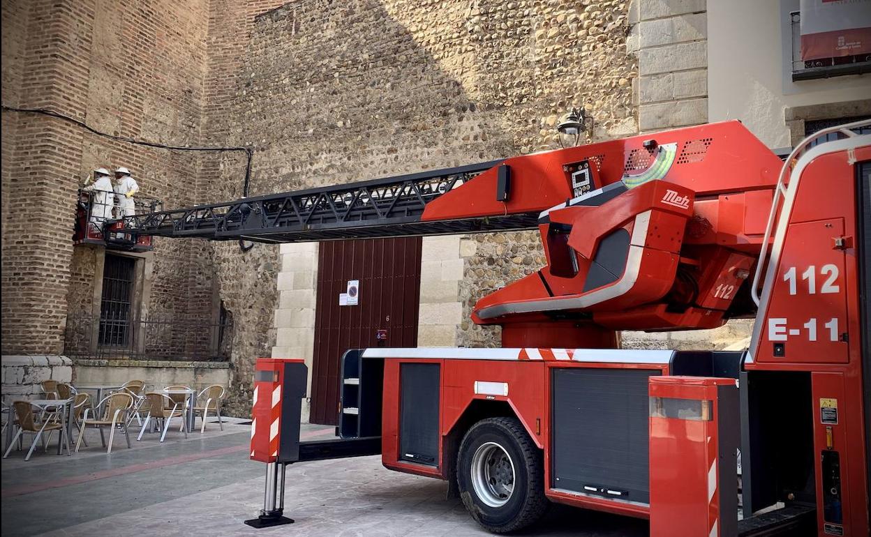 Dos bomberos durante la actuación para retirar el enjambre. 