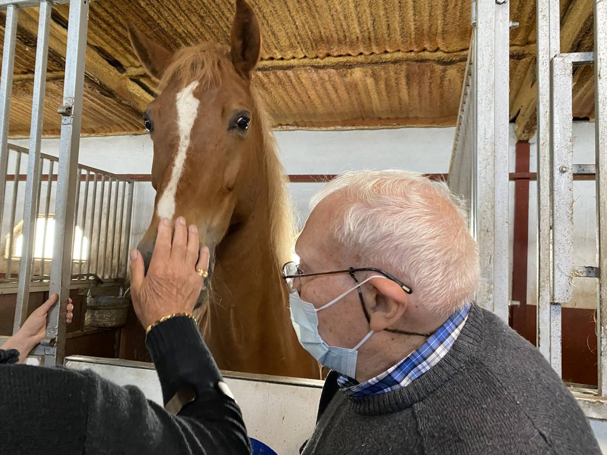 Un año después, ocho ancianos han vuelto a disfrutar del aire libre en una excursión con caballos.