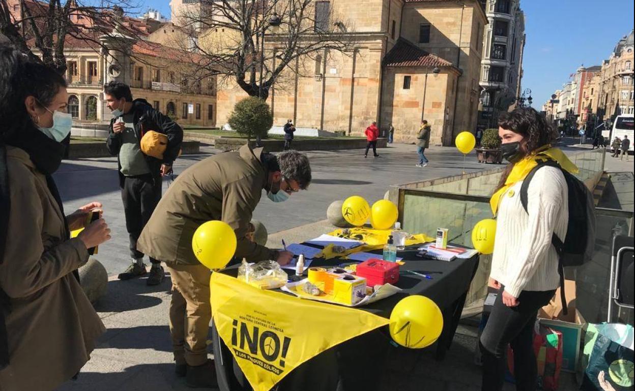 Mesa de recogida de firmas instalada en las últimas semanas.
