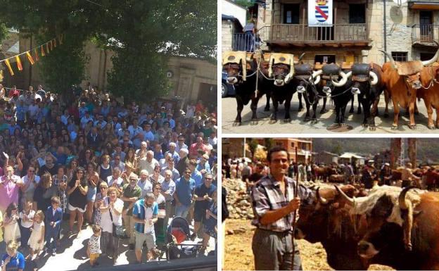 A la izquierda, una multitud en la plaza durante las fiestas de la Virgen de la Asunción de Porto de Sanabria. Al lado, bueyes de la raza autóctona alistana y Feria de Ganado de la localidad en los años ochenta del siglo pasado.