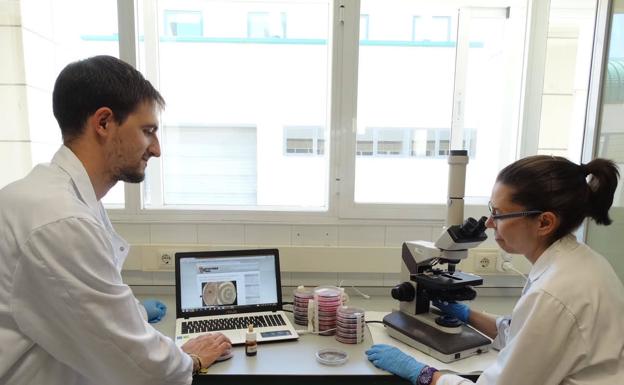 Los investigadores Guzmán Carro y Sara Mayo, de la Universidad de León, en el laboratorio. 